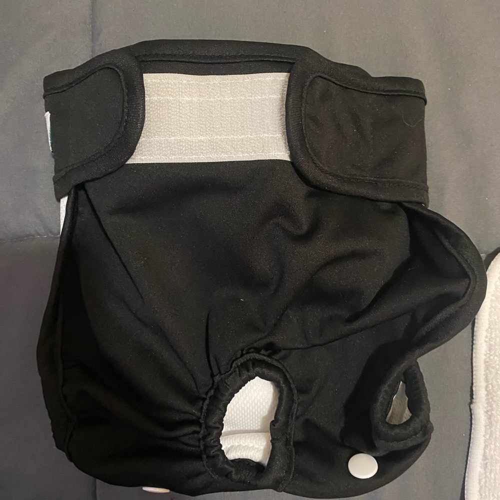 Brand New Female Dog diaper.